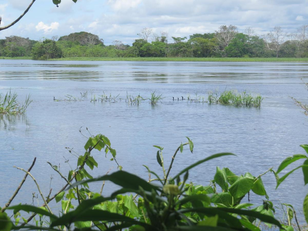 Eware Refugio Amazonico Hotel Puerto Narino ภายนอก รูปภาพ