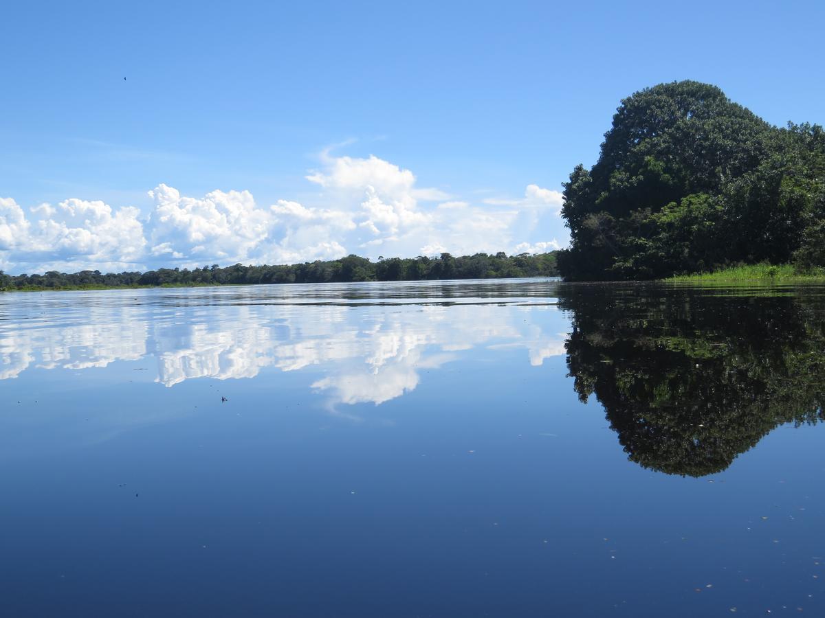 Eware Refugio Amazonico Hotel Puerto Narino ภายนอก รูปภาพ